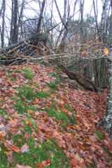 Sommet de la motte de Coh Castel � Brandivy